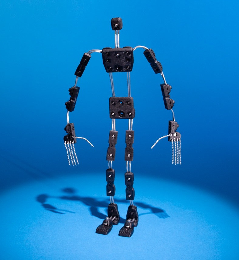 Human Armature Kit, Standard Size - Berkey System